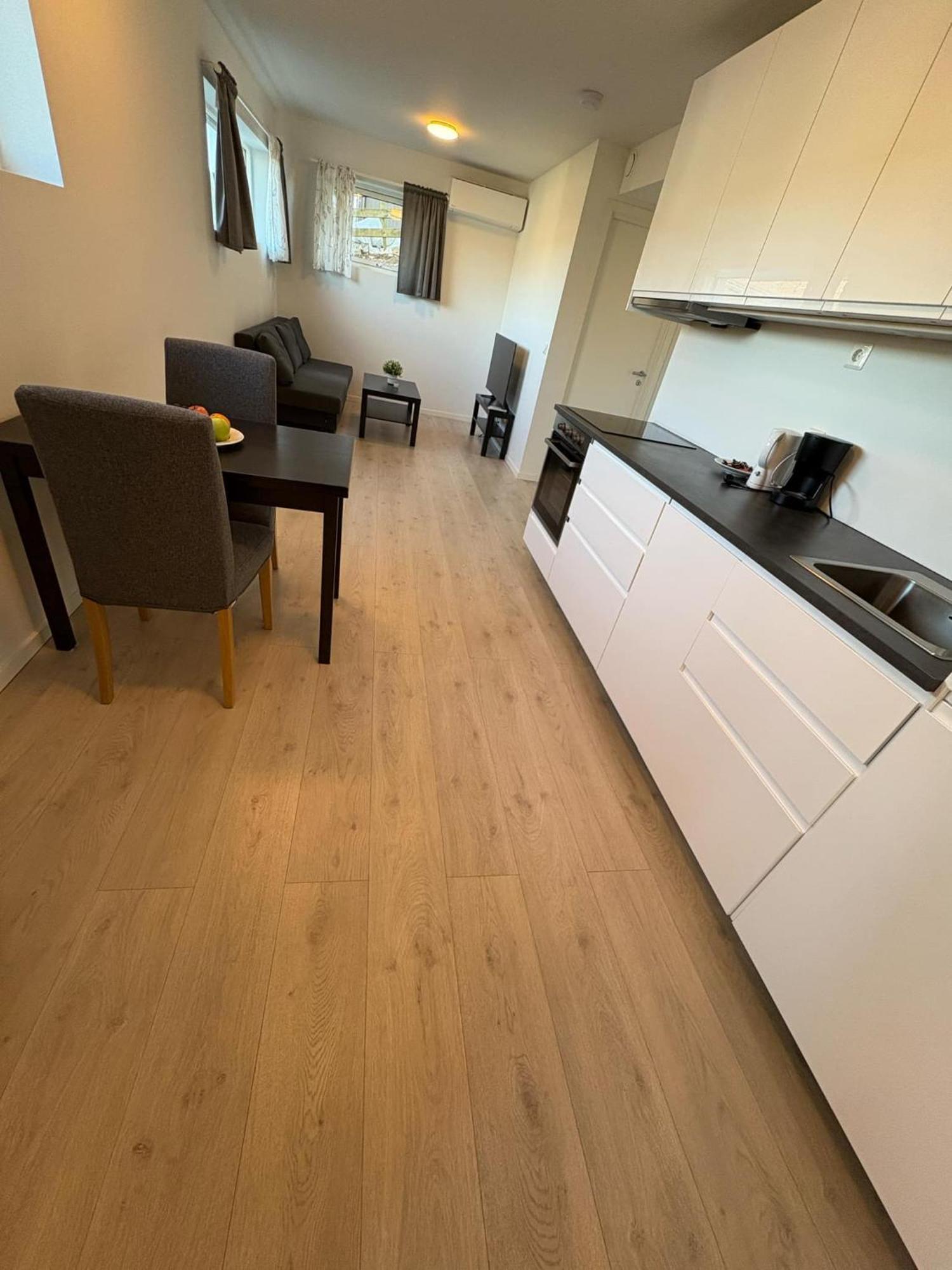 Temis Apartment, Private New 1 Bed Room And 1 Living Room With Sofa Bad And Lagre Kitchen, Share With Nobody Oslo Eksteriør billede