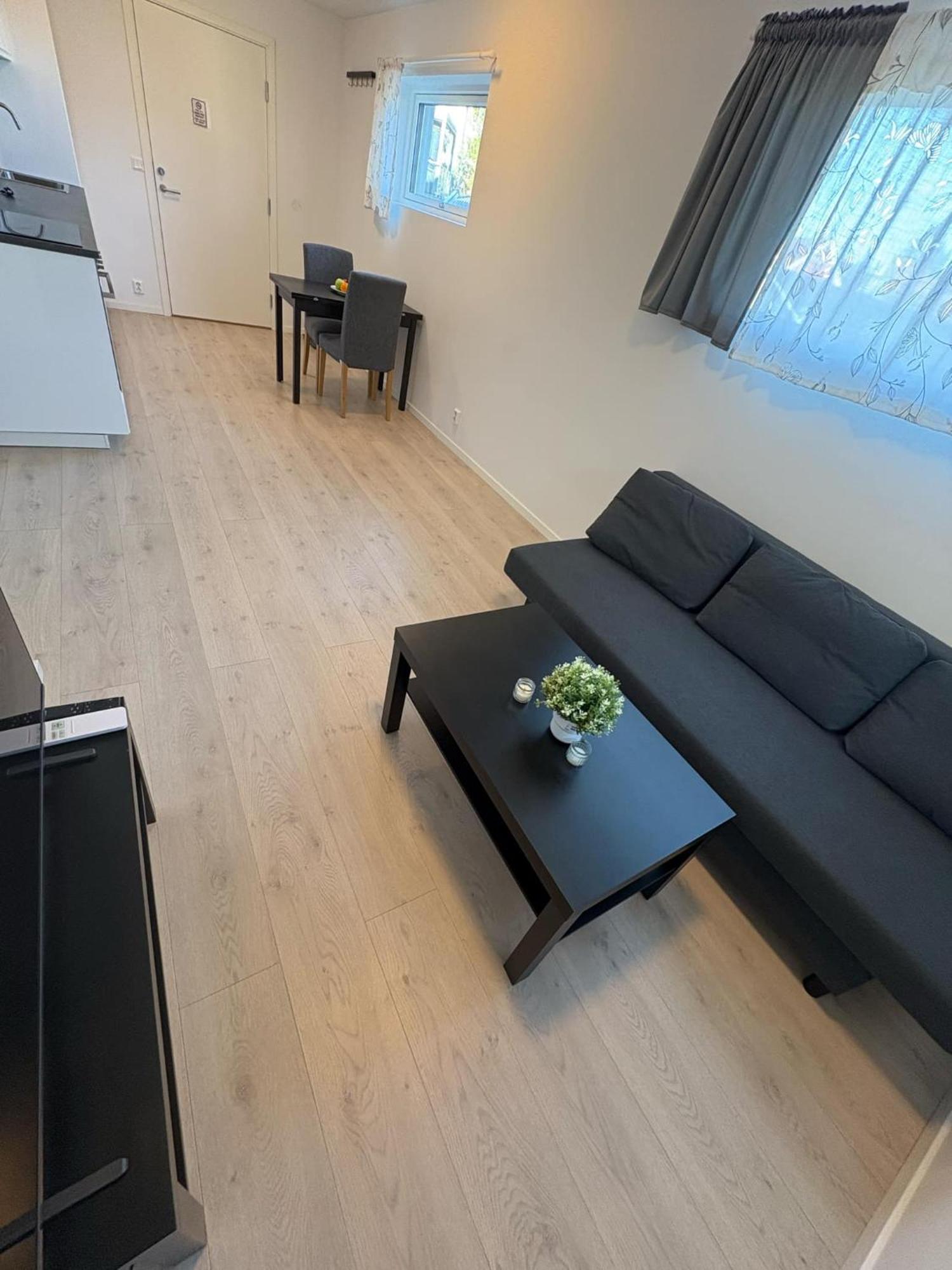 Temis Apartment, Private New 1 Bed Room And 1 Living Room With Sofa Bad And Lagre Kitchen, Share With Nobody Oslo Eksteriør billede